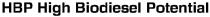 hbp high biodiesel potential