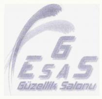 egs esas güzellik salonu