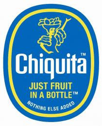 chiquita just fruit in a bottle nothing else added ve