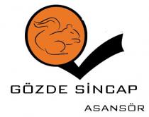gözde sincap asansör