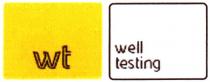wt well testing