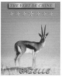 gazelle