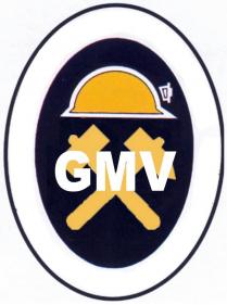 gmv