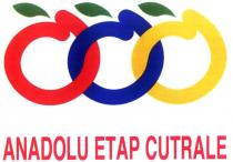 anadolu etap cutrale