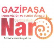 gazipaşa tarım kültür ve turizm derneği çekirdeksiz nar her tanesinde hayat var