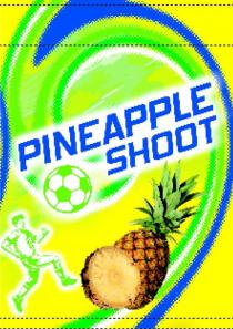 pineapple shoot