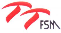 tt fsm