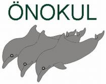 önokul