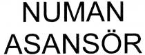 numan asansör