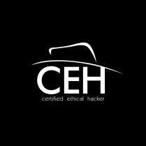 ceh - certified ethical hacker