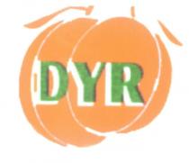 dyr