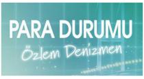 özlem denizmen para durumu
