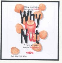 özenle seçilmiş ve kavrulmuş fındık why nut sagra