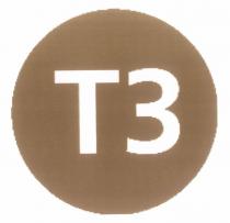 t3