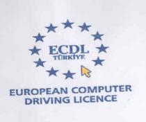 ecdl türkiye european computer driving licence