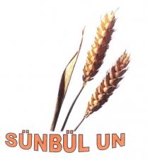 sünbül un