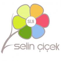 sln selin çiçek