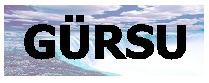 gürsu