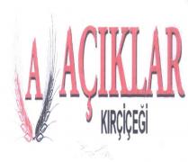 a açıklar kırçiçeği