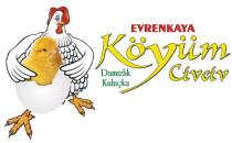 evrenkaya köyüm civciv damizlik kuluçka