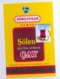 sürçaysan şölen ekstra harman