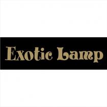 exotic lamp