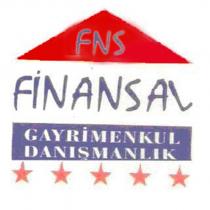 fns finansal