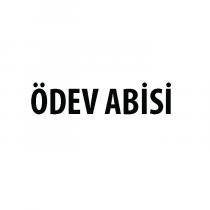 ödev abisi