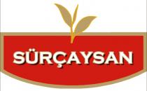 sürçaysan+