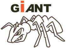 GİANT