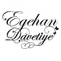 egehan davetiye