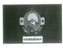 vamos ultras vermosbien