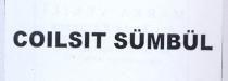 coılsıt sümbül