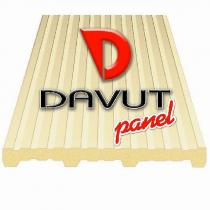 d davut panel