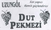 uzungöl kan yapıcı kemik güçlendirici dut pekmezi