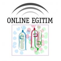 online egitim