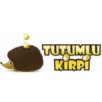 tutumlu kirpi