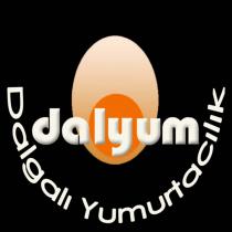 dalyum dalgalı yumurtacılık