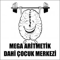 mega aritmetik dahi çocuk merkezi