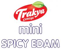 trakya çiftliği mini spicy edam