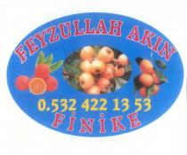 feyzullah akın finike