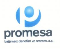 promesa bağımsız denetim ve smmm a.ş.