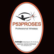 p53proses