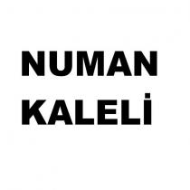 numan kaleli