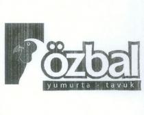 özbal yumurta-tavuk