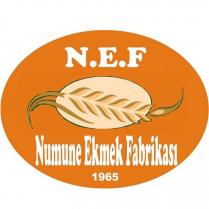 n.e.f. numune ekmek fabrikasi