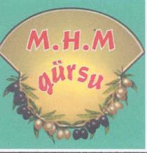 m.h.m. gürsu
