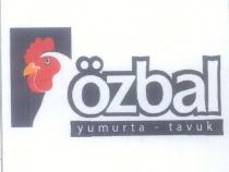özbal yumurta-tavuk