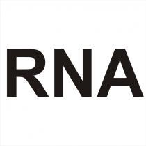 rna