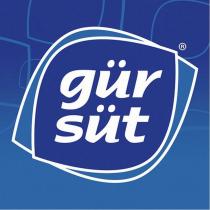 gürsüt